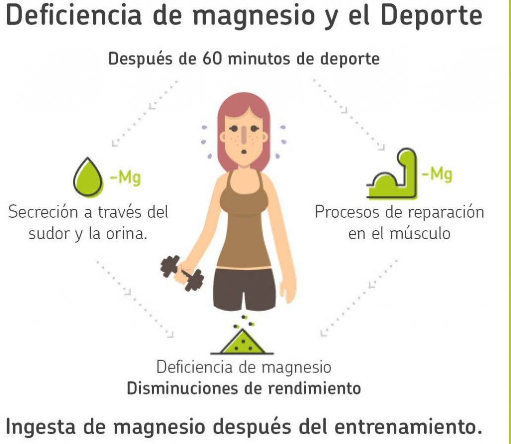 magnesio propiedades deporte