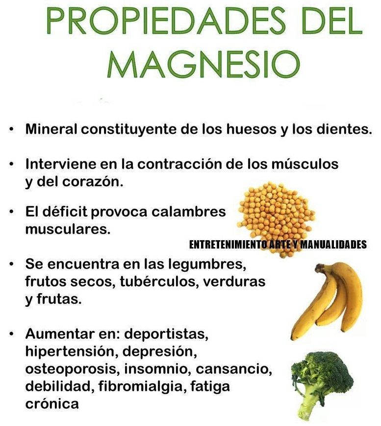 magnesio b6 propiedades