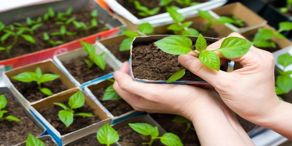 oxido de magnesio es organico o inorganico