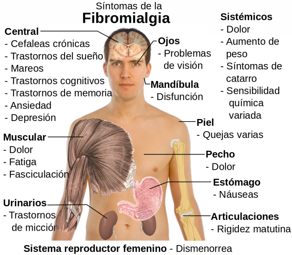 para que sirve el magnesio al cuerpo