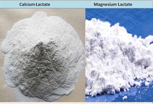 lactato de magnesio biodisponibilidad